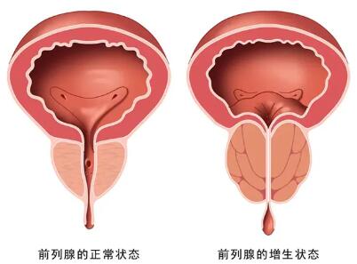 QQ截图20250327134407.jpg