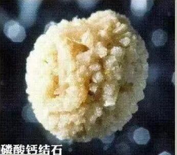 QQ截图20250408133554.jpg